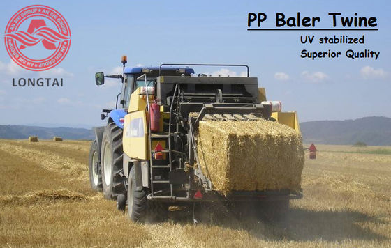 UV Stabilized Square Or Round PP Baler Twine 130 Meter / 9kg Yellow Color