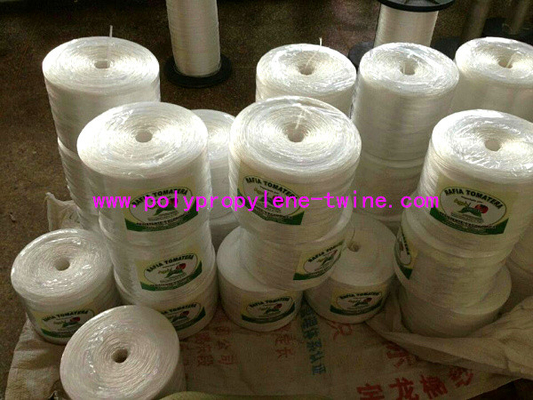 High Breaking Strength PP Warping Polypropylene Tomato Twine UV Treated