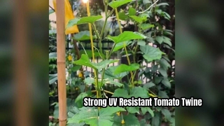 植物を強力にサポートする耐紫外線性トマト結束麻ひも