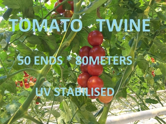 麻ひもの多彩なプラスチック庭のパッキング Raffia のひもを結ぶ温室のトマト